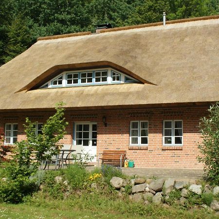 Premiumwohnung Im Biosphaerenreservat Vilmnitz Bagian luar foto