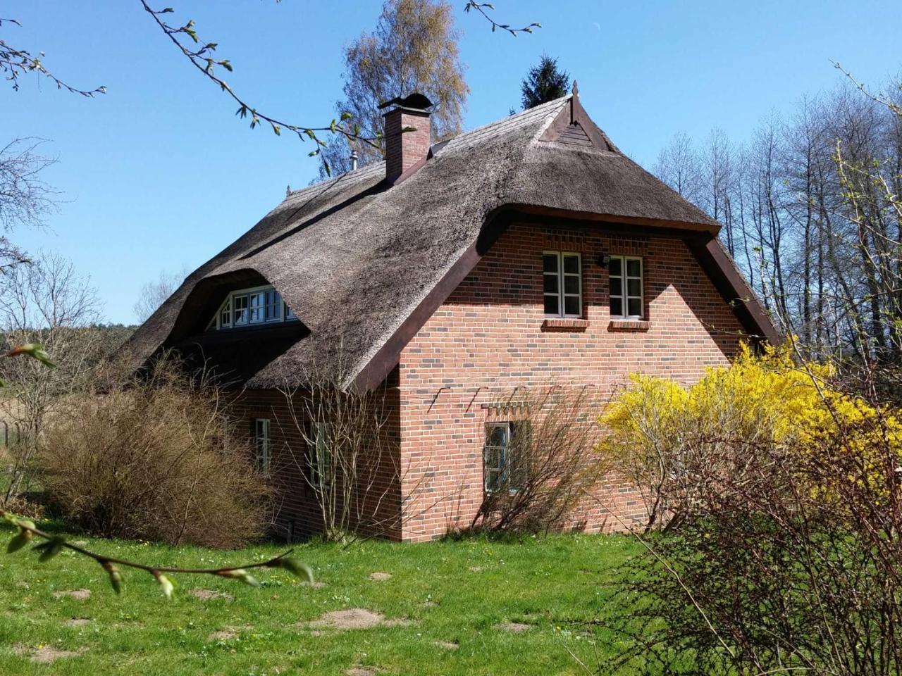 Premiumwohnung Im Biosphaerenreservat Vilmnitz Bagian luar foto